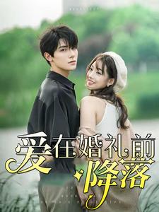 爱在婚礼前降落全集