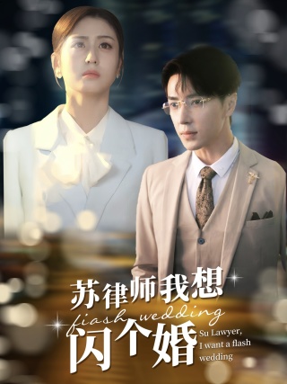 苏律师我想闪个婚全集