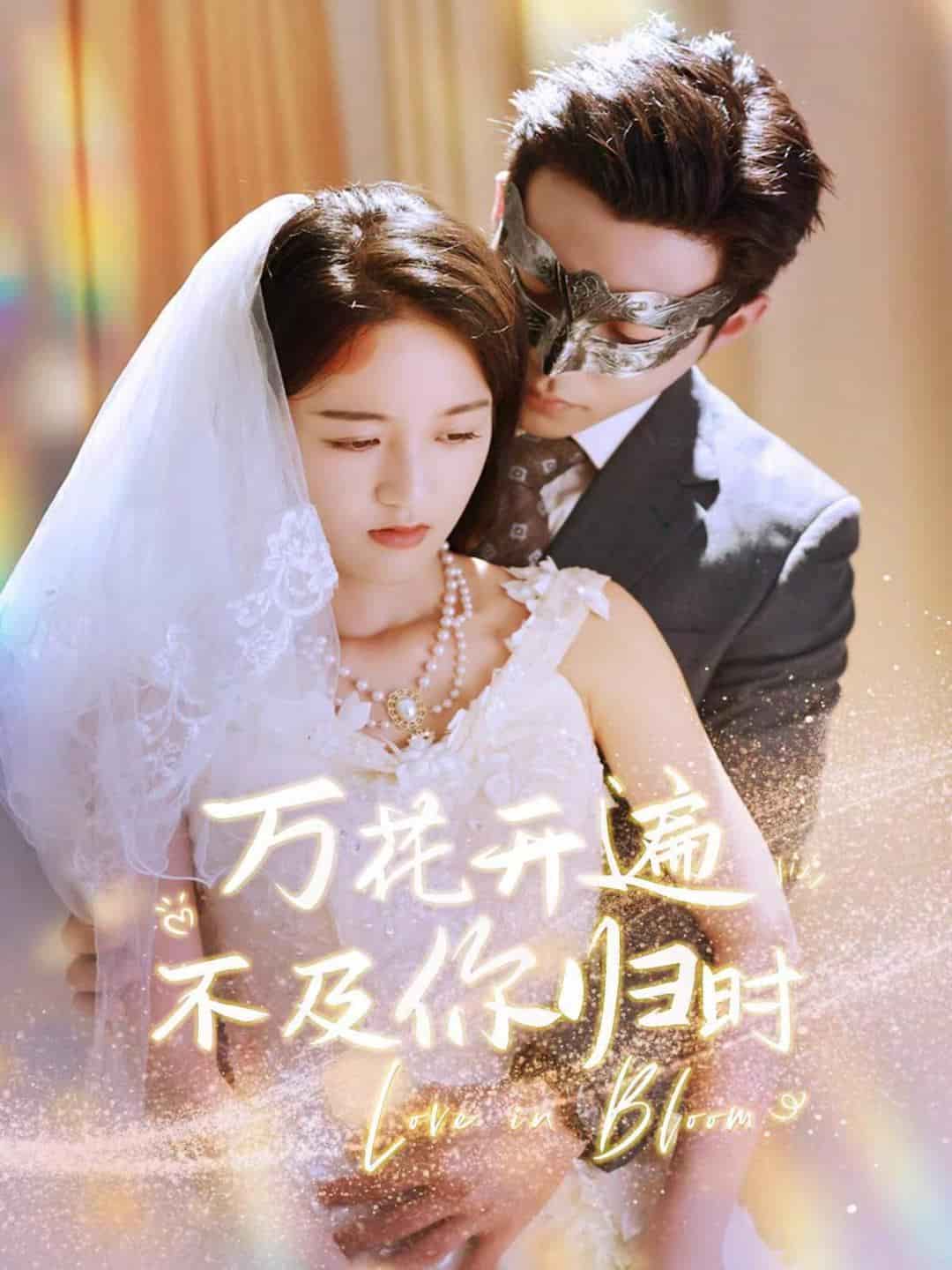 万花开遍不及你归时全集