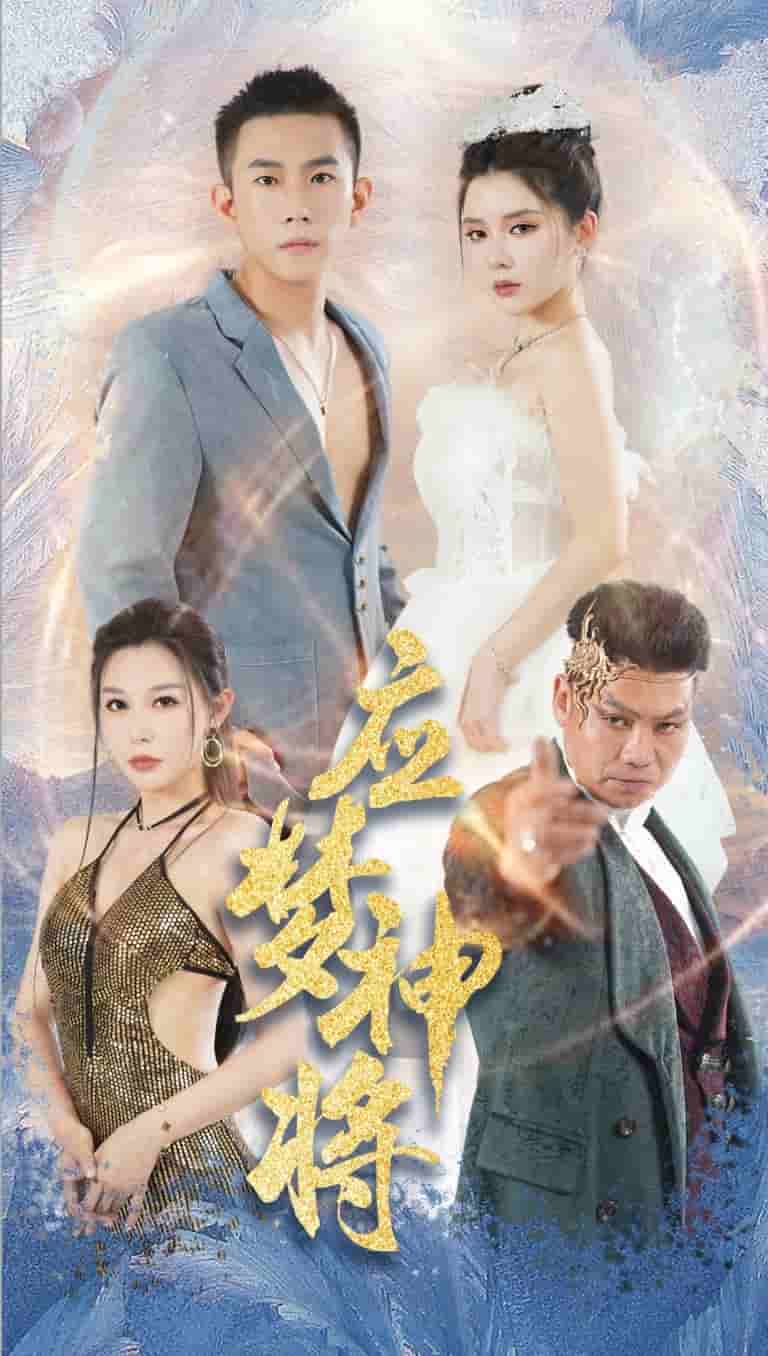 应梦神将全集