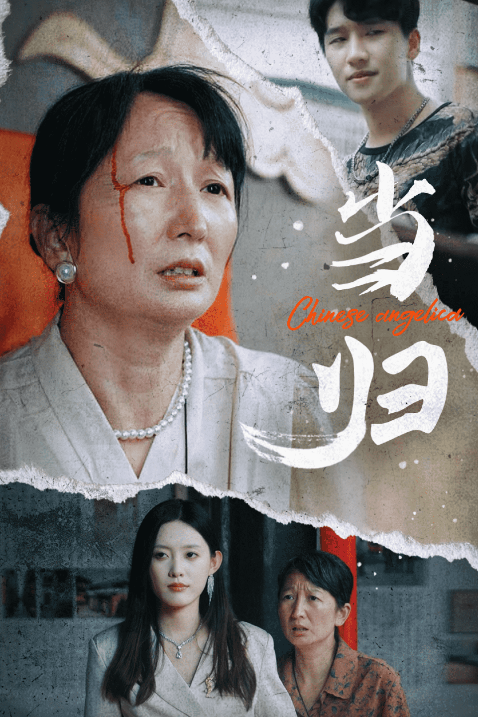 当归全集