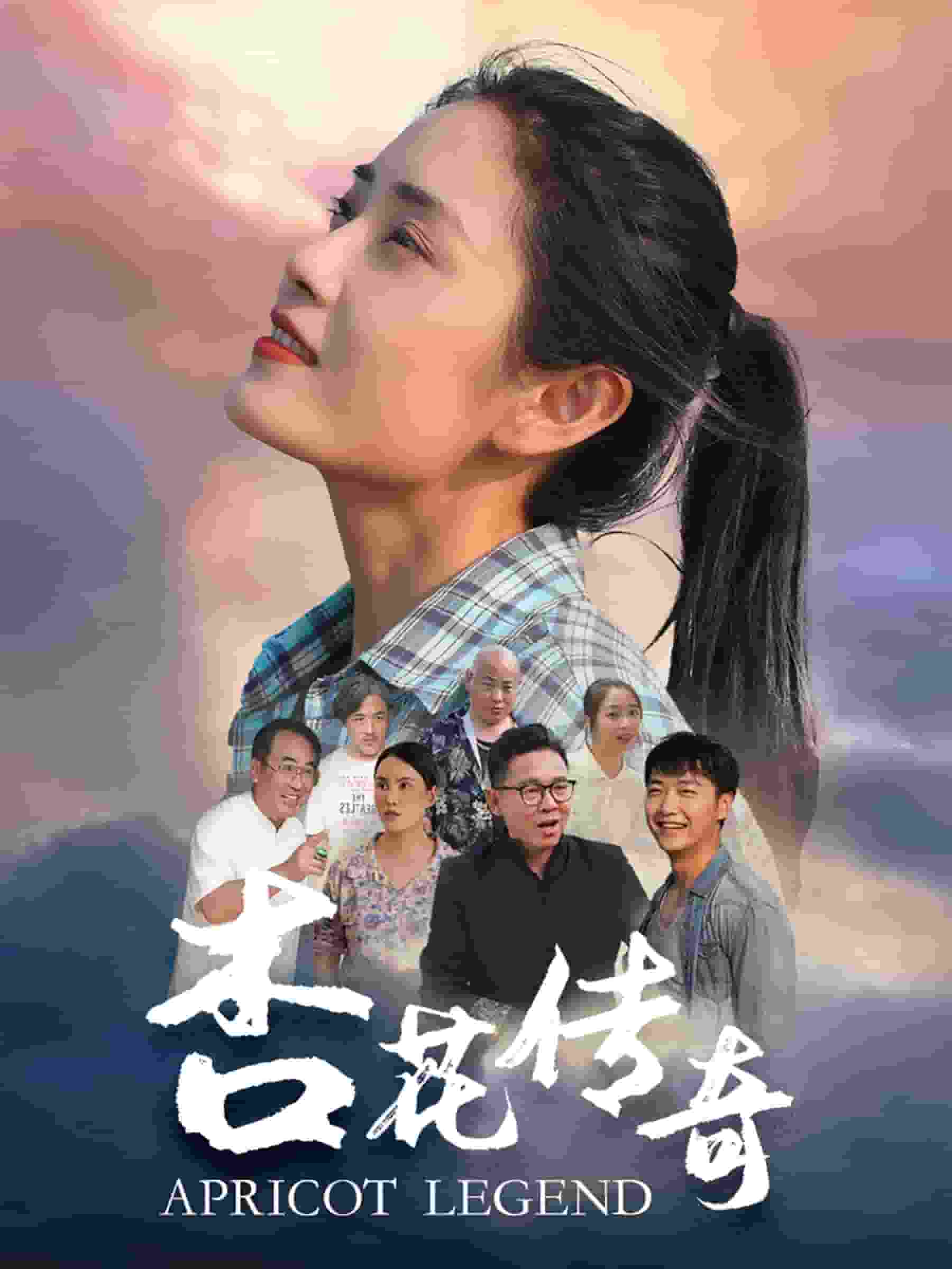 杏花传奇全集