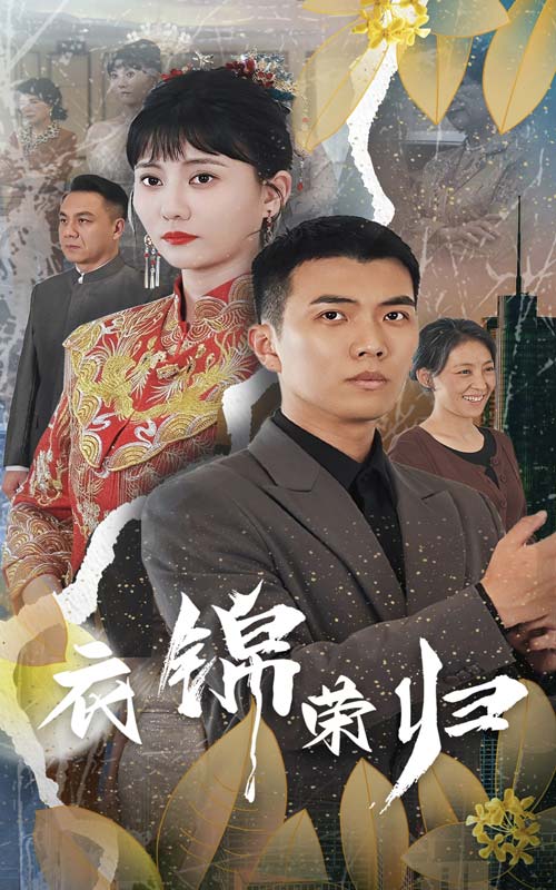 衣锦荣归全集