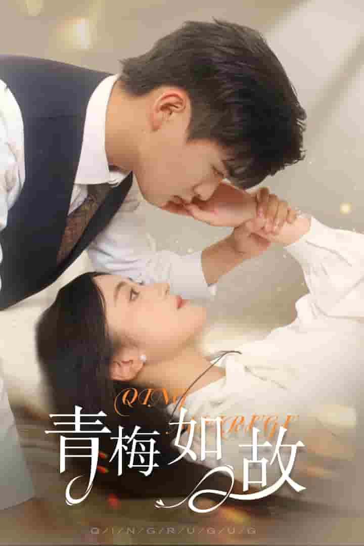 青梅如故全集
