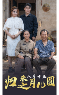 归来之八月十五月儿圆全集