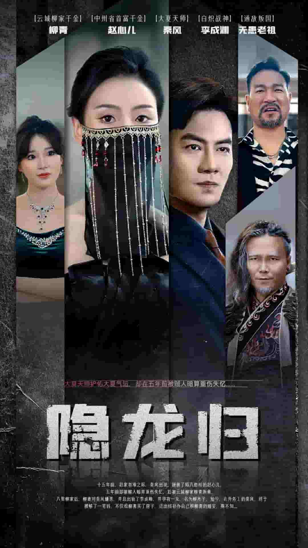 隐龙归全集