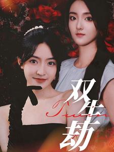 双生劫全集
