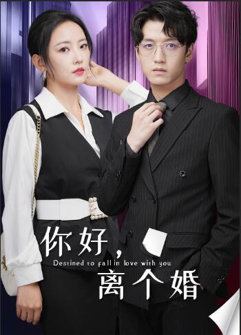 你好，离个婚全集