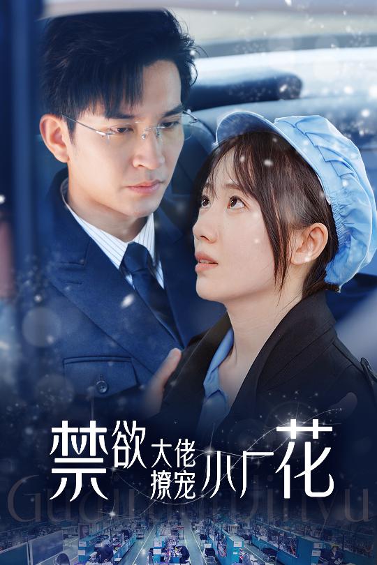 禁欲大佬撩宠小厂花全集