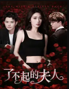 了不起的夫人全集