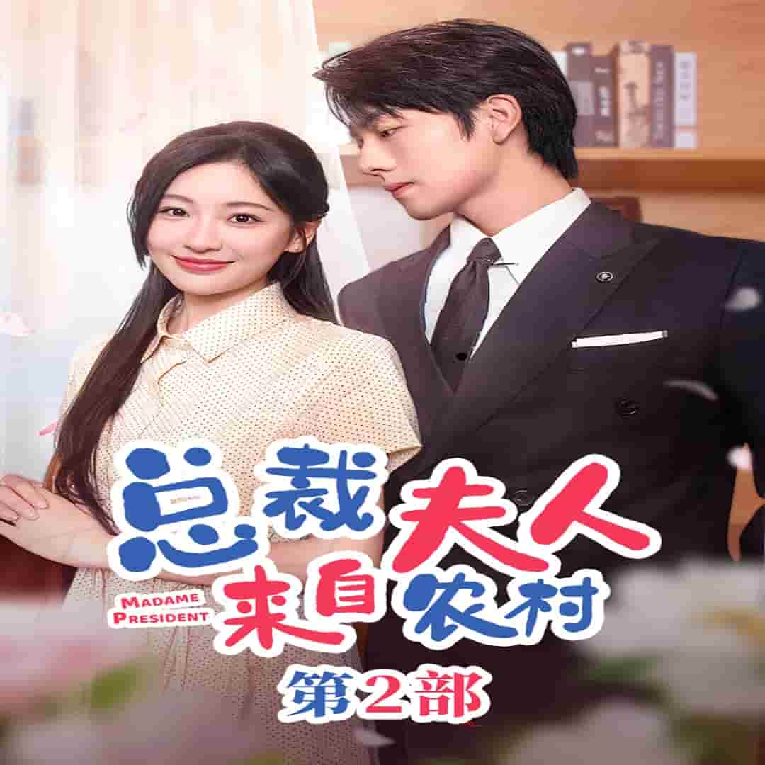 总裁夫人来自农村第2部全集