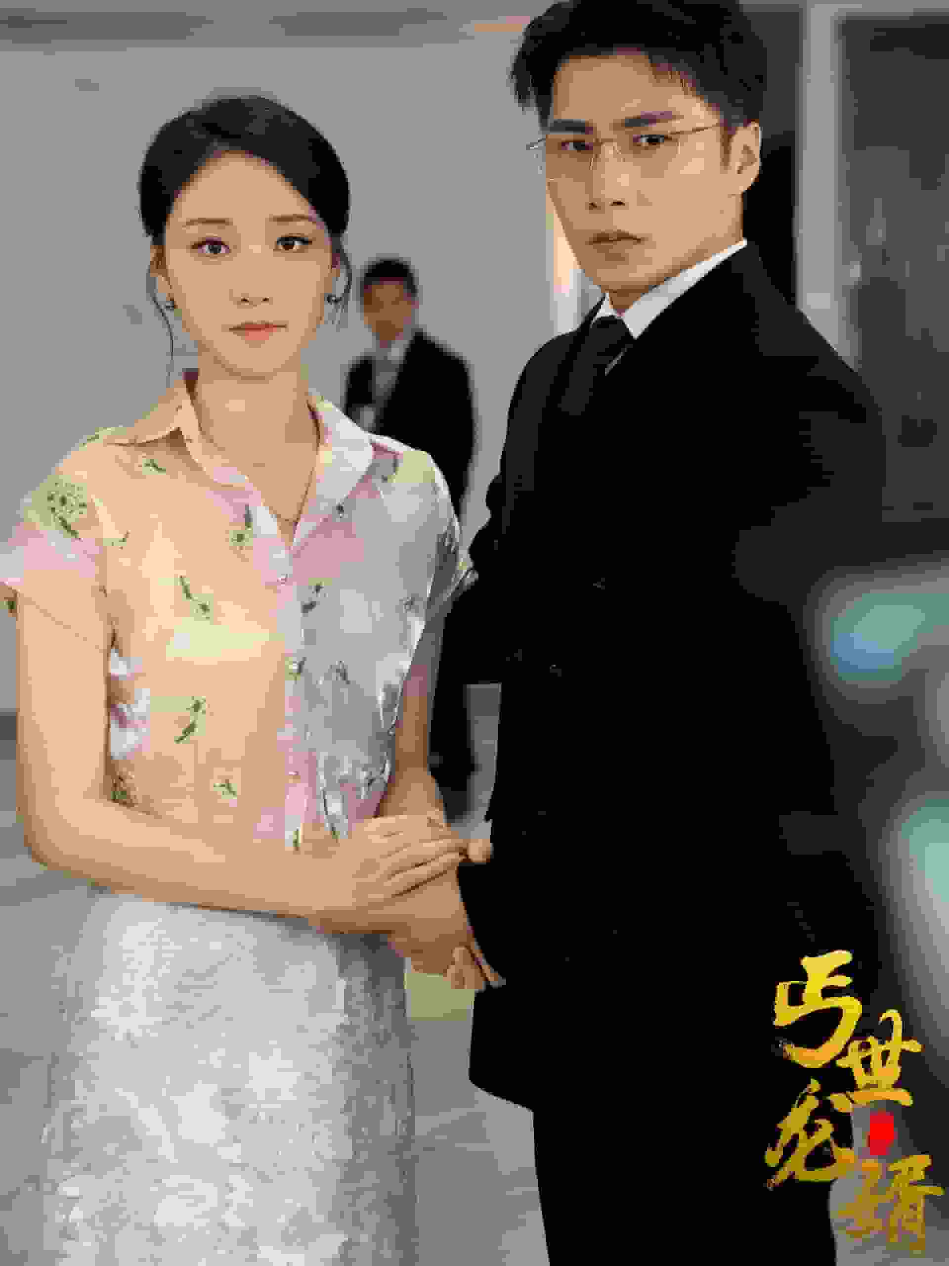 丐世龙婿全集