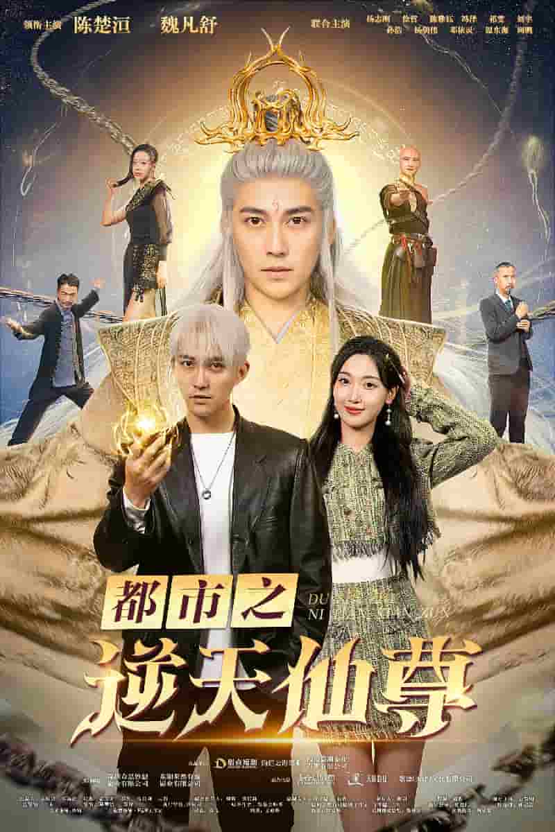 都市之逆天仙尊全集