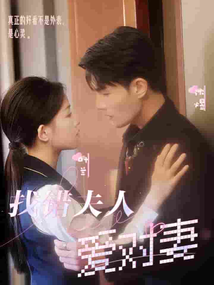 找错夫人爱对妻全集