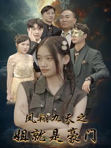 凤翔九天之姐就是豪门全集