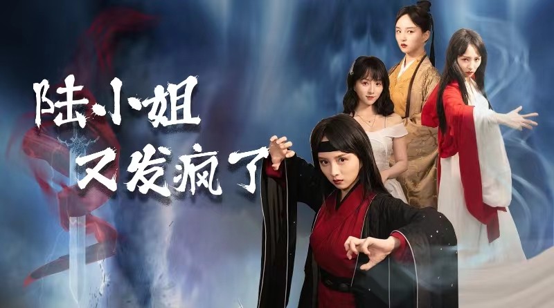 陆小姐又发疯了全集