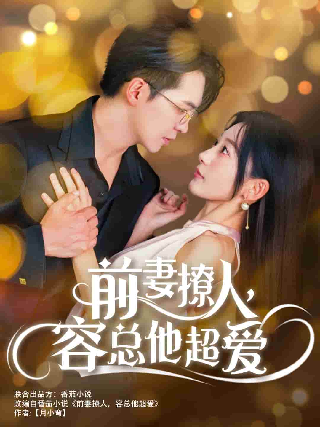 前妻撩人，容总他超爱全集