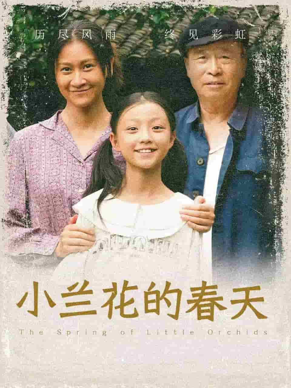 小兰花的春天全集