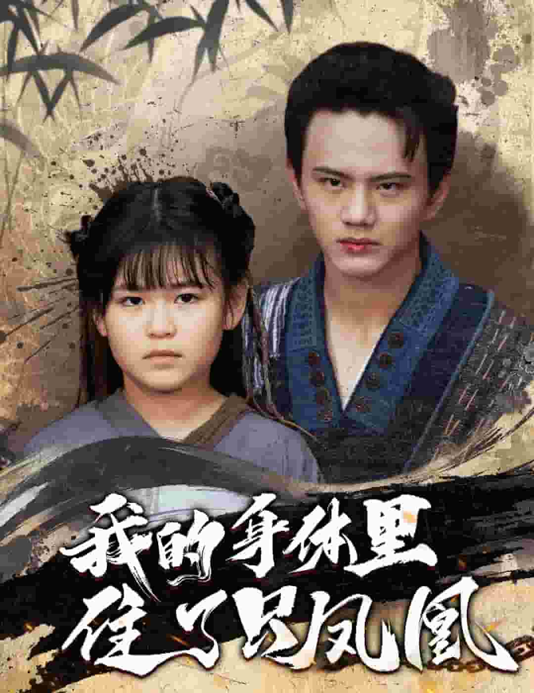 我的身体里住了只凤凰全集