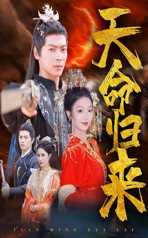 天命归来全集