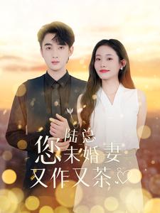 陆总您未婚妻又作又茶全集