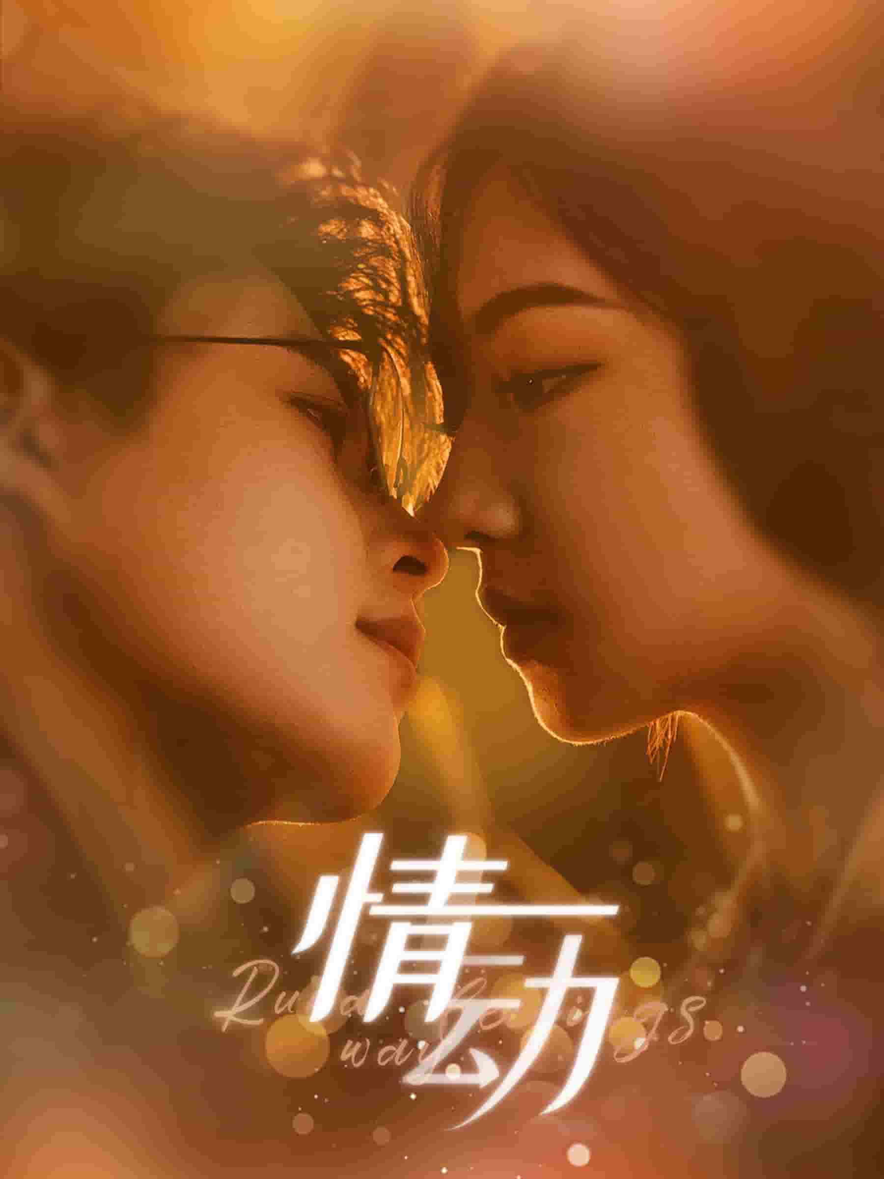 情动全集