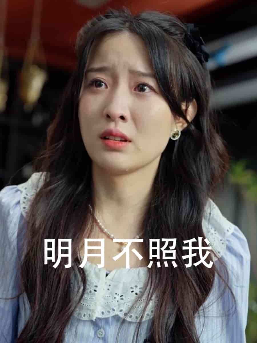 明月不照我全集