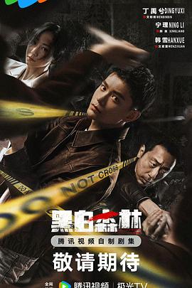 黑白森林剧版全集