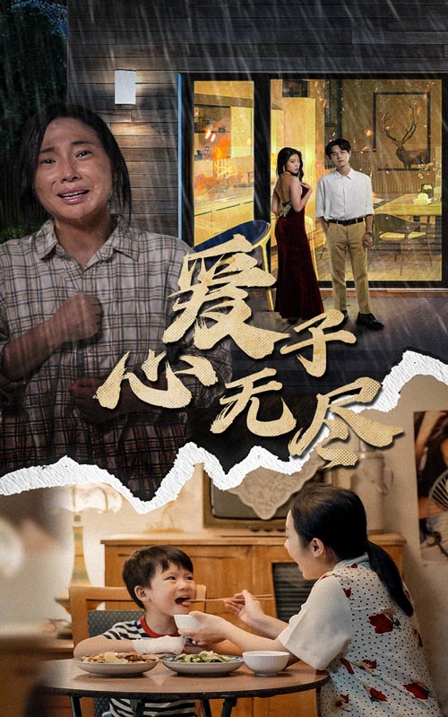 爱子心无尽全集