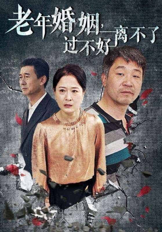 老年婚姻过不好离不了全集