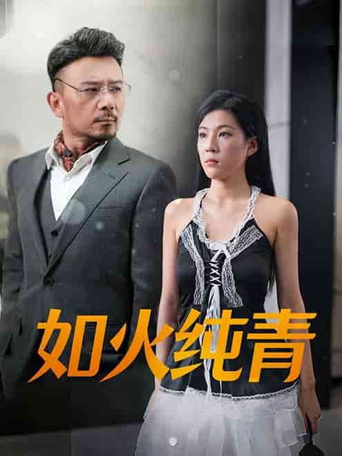 如火纯青全集