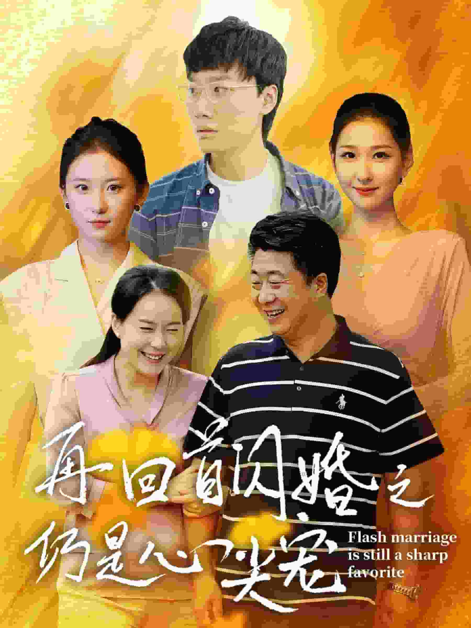 再回首闪婚之仍是心尖宠全集