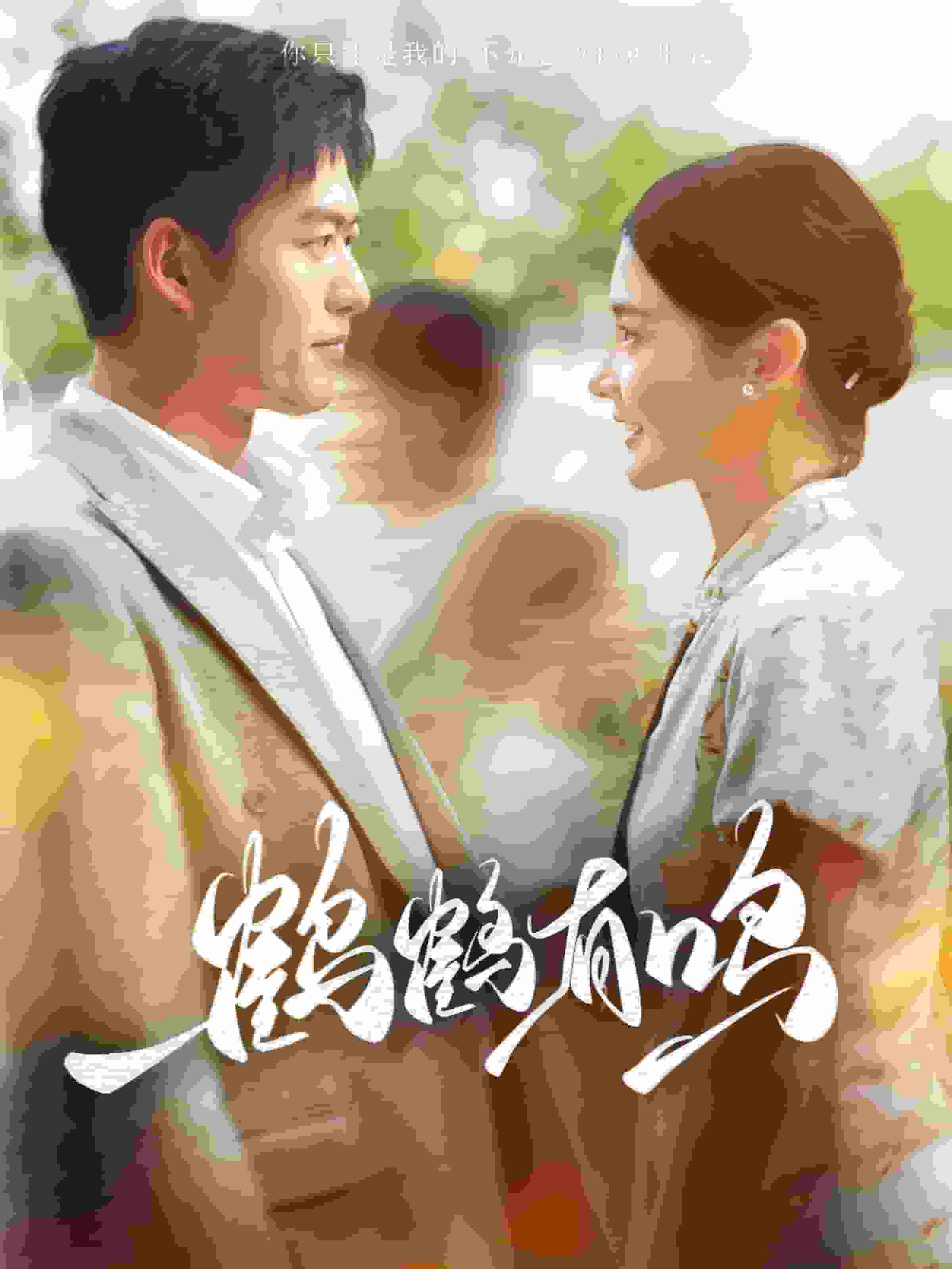 鹤鹤有鸣全集