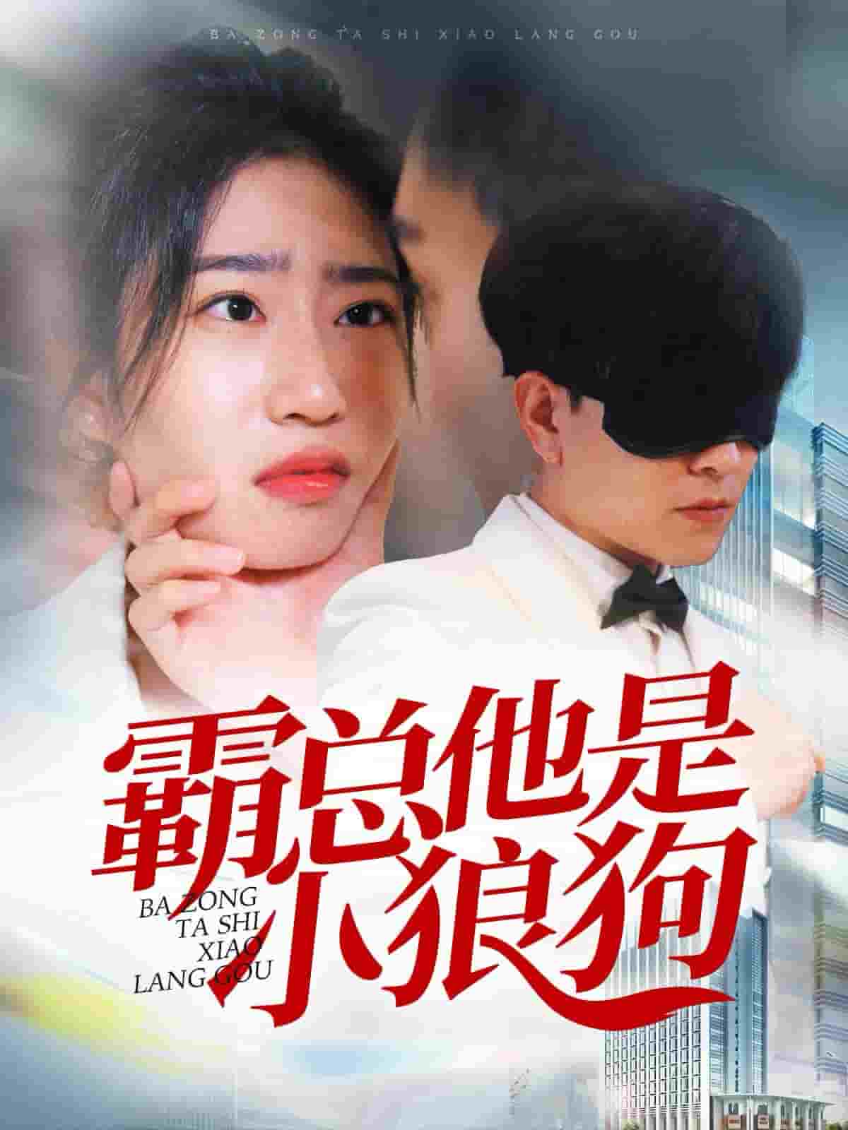 霸总他是小狼狗全集