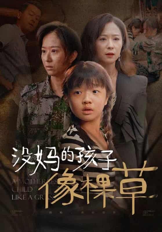 没妈的孩子像棵草全集