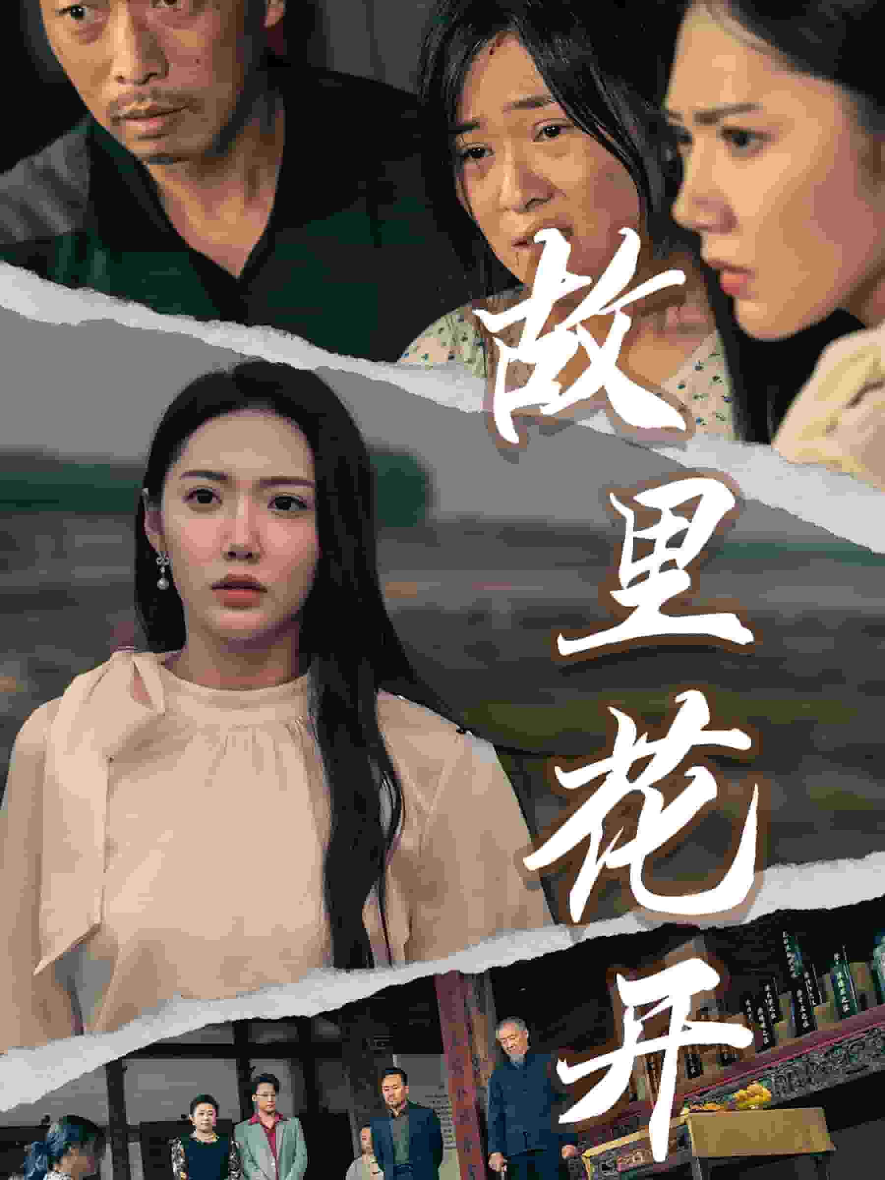 故里花开全集
