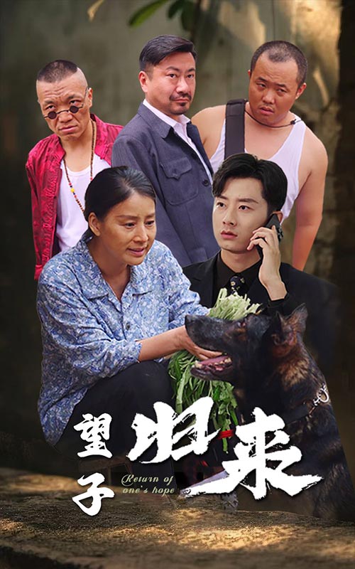 望子归来全集