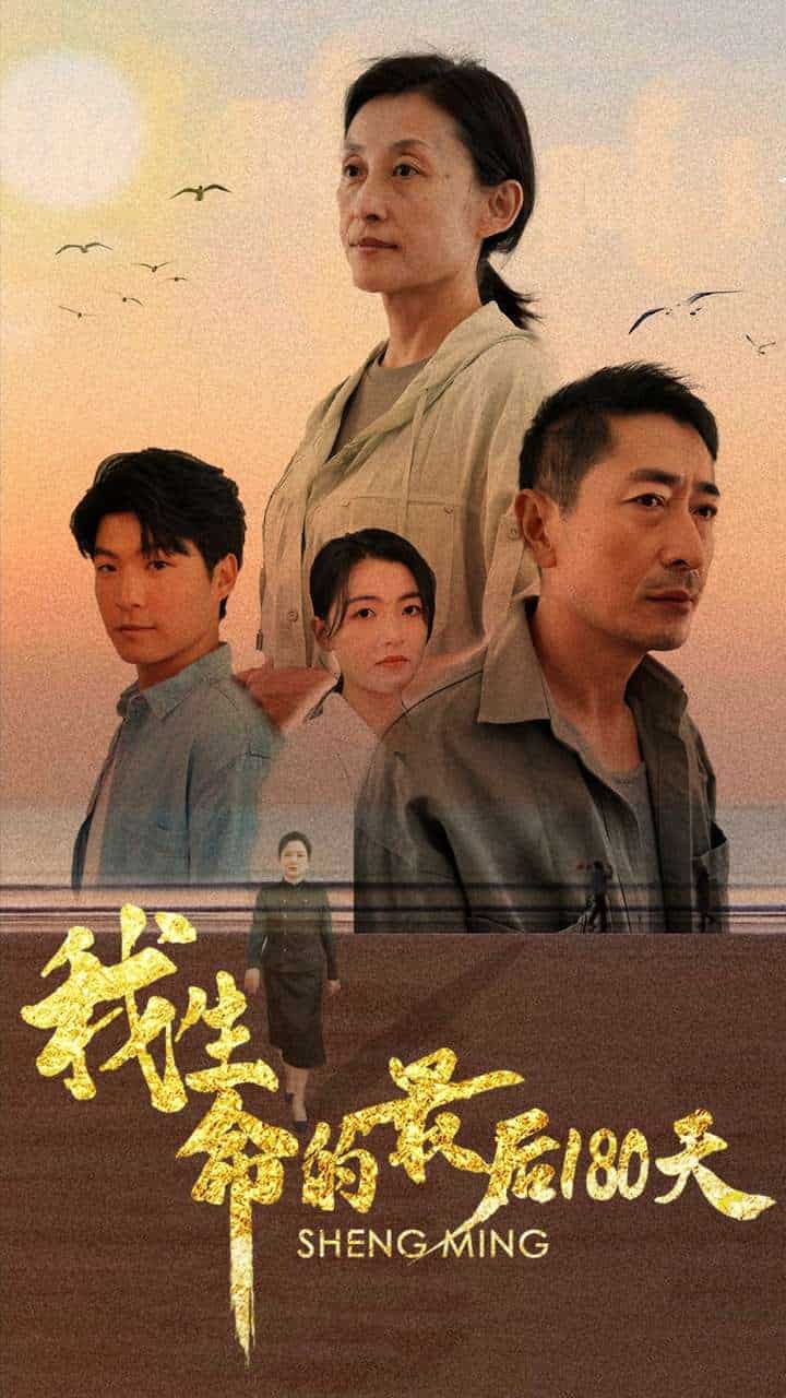 我生命的最后180天全集