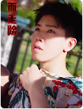 铤而走险 短剧版全集
