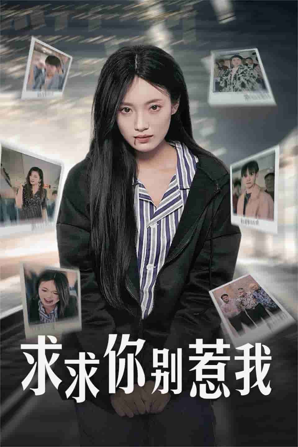 求求你别惹我全集