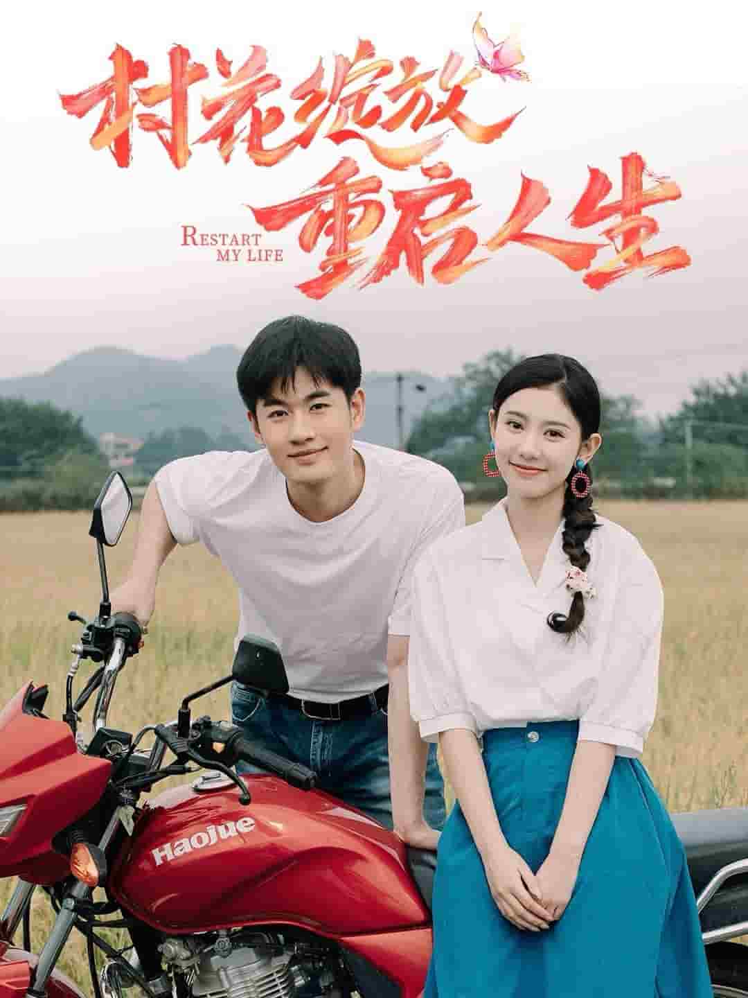 村花绽放重启人生全集