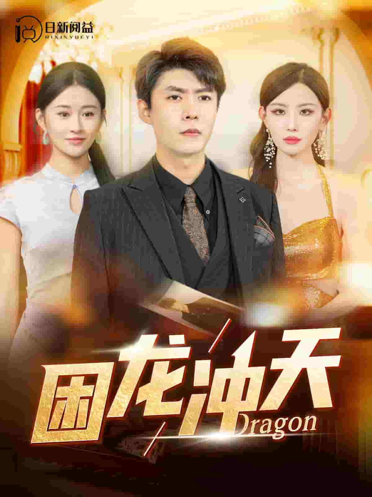 困龙冲天全集
