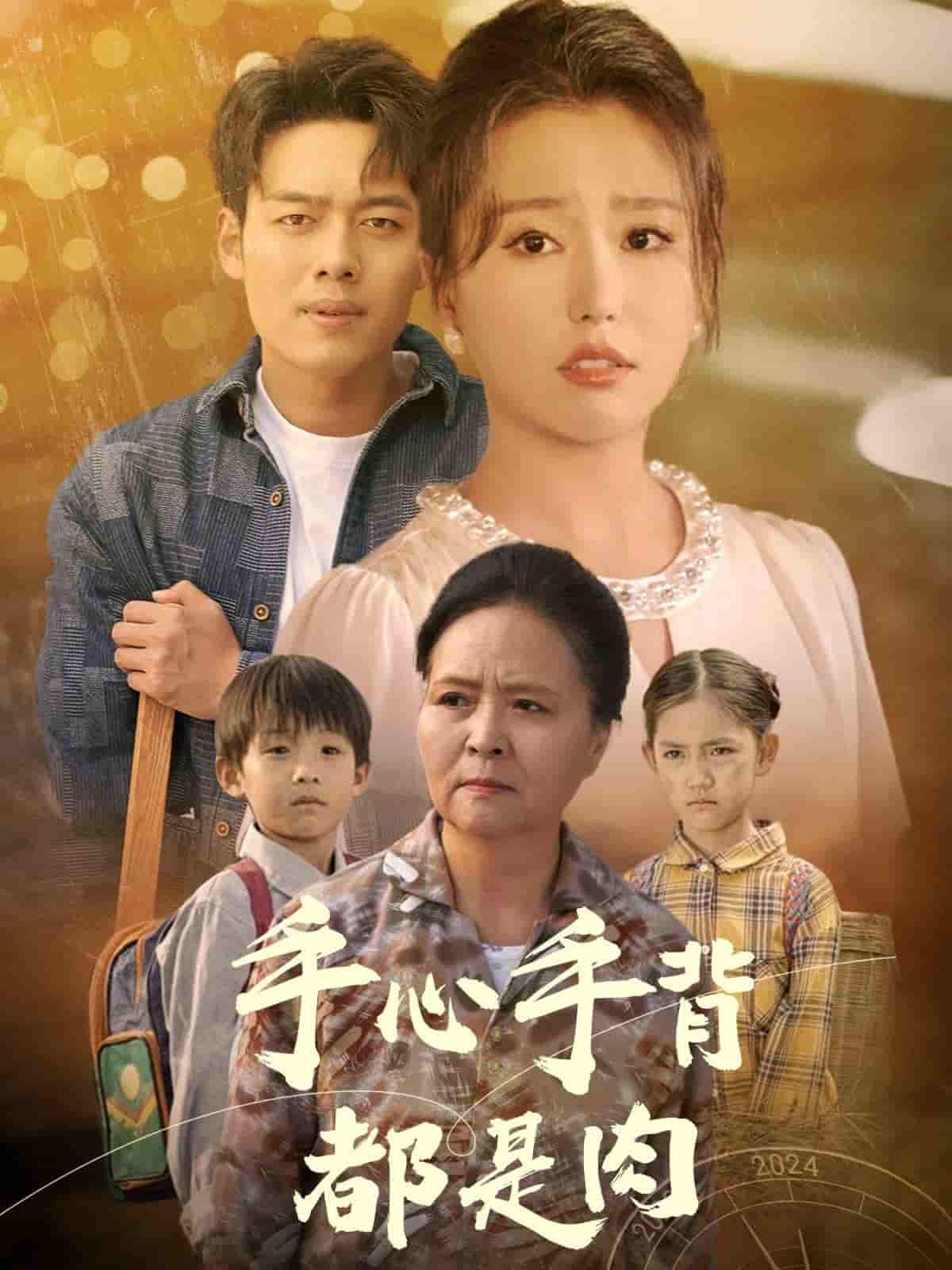 手心手背都是肉全集