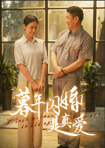 暮年闪婚是真爱全集