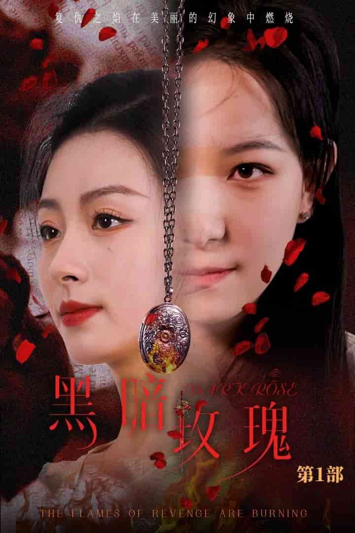 黑暗玫瑰全集
