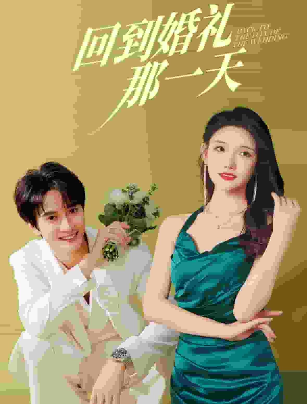 回到婚礼那一天全集