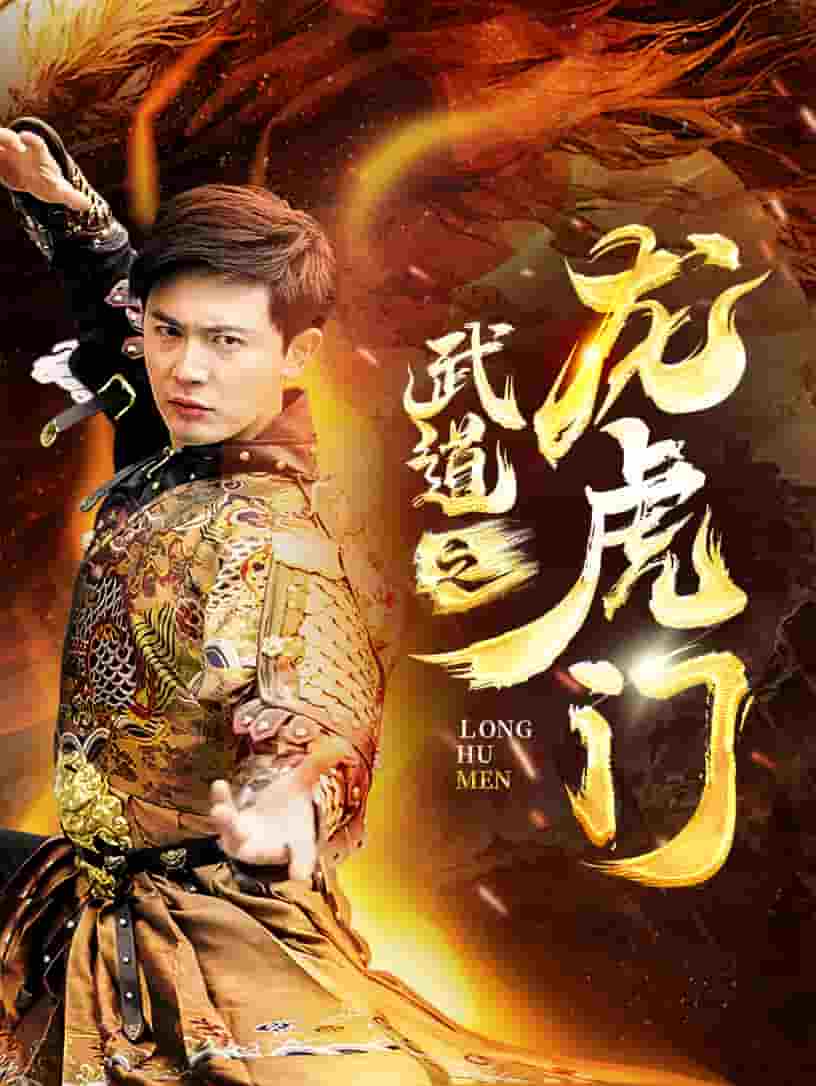 武道之龙虎门全集