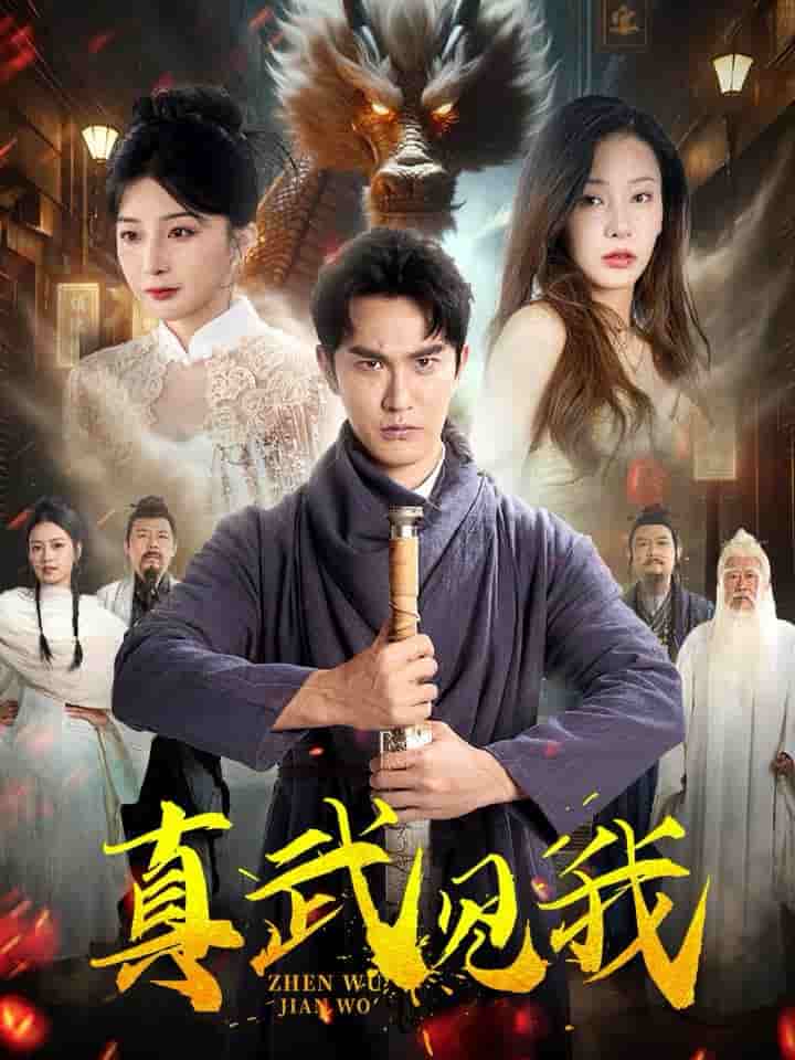 真武见我全集