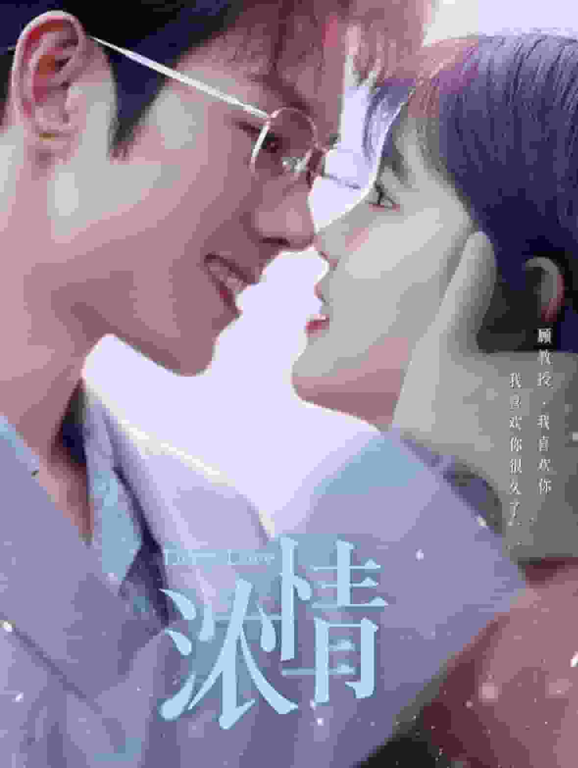 浓情全集