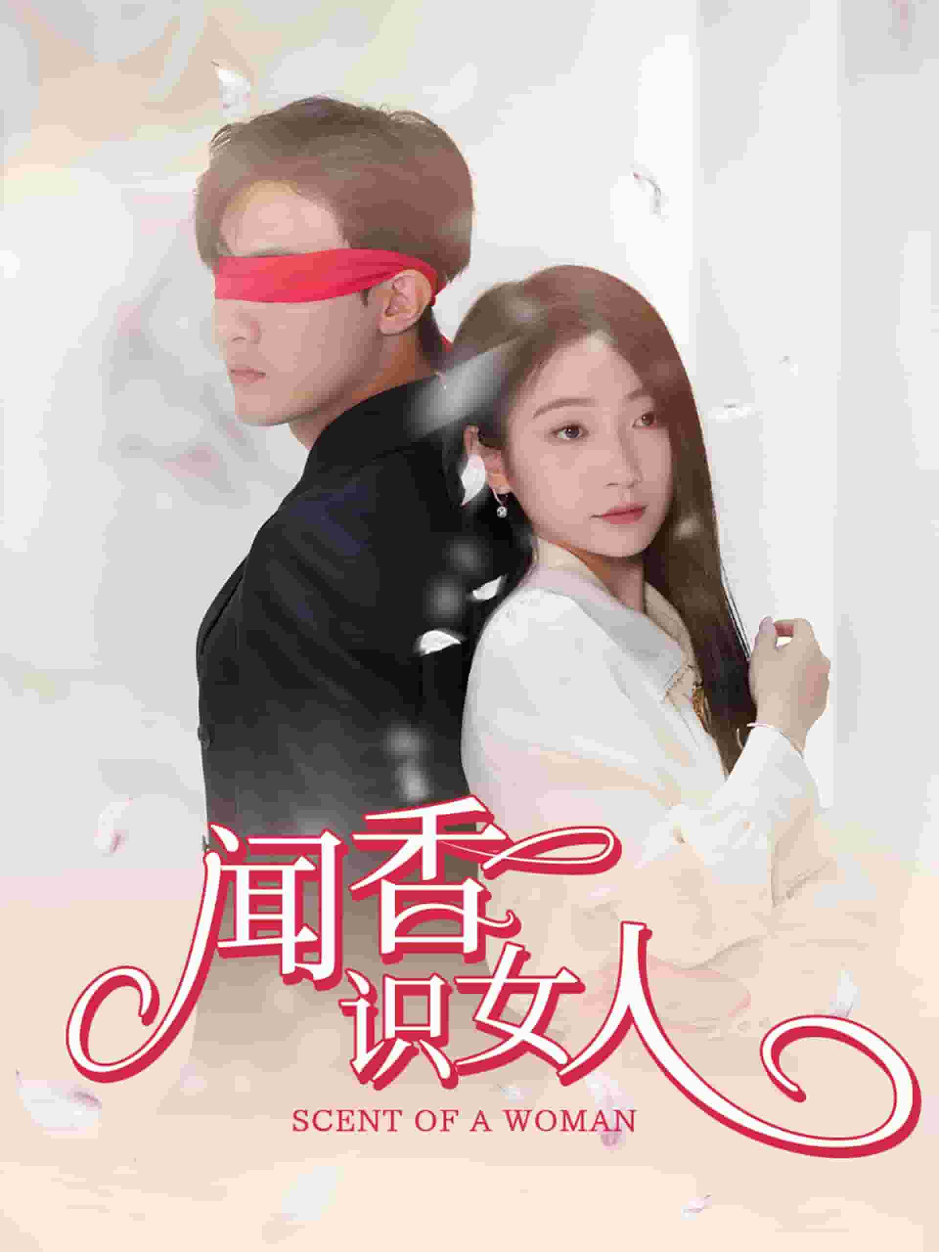 闻香识女人 短剧版全集